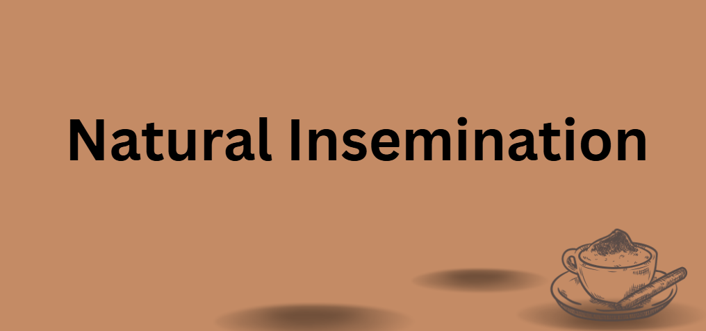 Natural Insemination